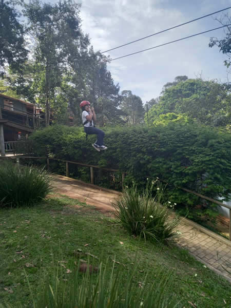 Bicho Mania 2022